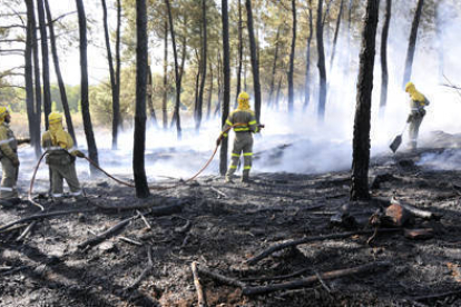 Trabajos de extinción en un fuego ocurrido este mes en Garray. / VALENTÍN GUISANDE-