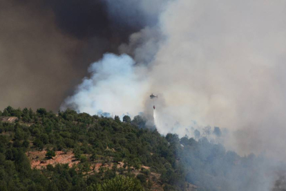 El incendio de Barcebalejo se produjo la semana pasada-A. M.