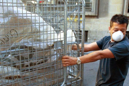 Un trabajador en Barcelona realizando tareas con riesgo de toxicidad.-FERRAN NADEU (EL PERIÓDICO)