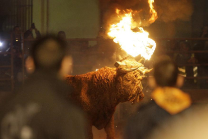 El Toro Jubilo se celebra en noviembre en Medinaceli-D.M.