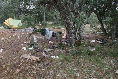 Aspecto que presentaba el monte de Nodalo tras el abandono de un campamento.-JUNTA