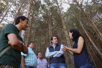 El consejero de Fomento y Medio Ambiente, Juan Carlos Suárez-Quiñones, visita el monte pinar de Navafría en el Parque Natural de Guadarrama-Ical