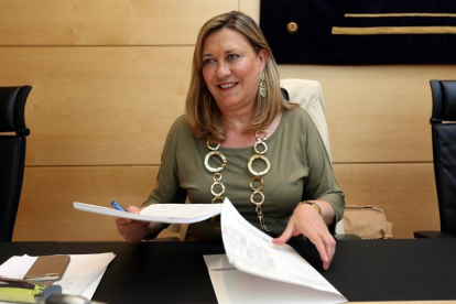 La consejera de Economía y Hacienda, Pilar del Olmo, comparece en las Cortes para explicar su programa de legislatura-Ical