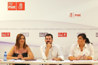 Reunión de la Comisión Ejecutiva Autonómica del PSOE de Castilla y León, bajo la presidencia del secretario general de la formación, Luis Tudanca (C)-ICAL