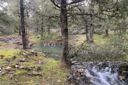 Crecida del río Lobos en el Cañón.-FÉLIX BARRIO