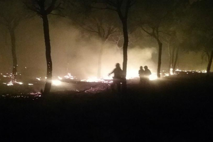 Bomberos intentan controlar las llamas del incendio que se ha adentrado este domingo en el parque natural de Doñana.-PLAN INFOCA