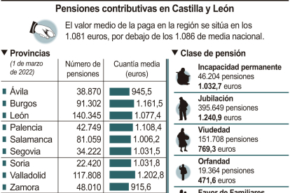 Pensiones contributivas en Castilla y León..-HDS