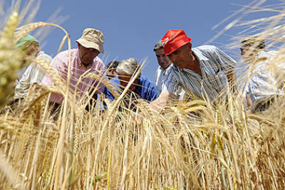 Agricultores que acudieron ayer a la demostración. / U. S. -