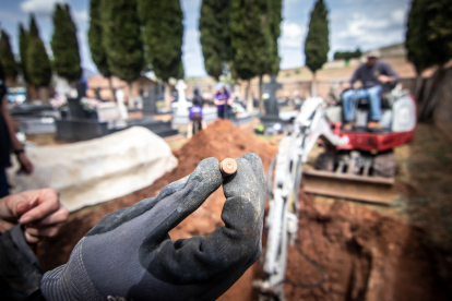 Trabajos de búsqueda de restos de asesinados y enterrados en el cementerio de Las Casas en la Guerra Civil.-GONZALO MONTESEGURO