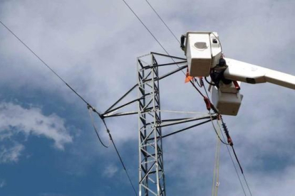 Adecuación de una torre de electricidad en la comarca de la Noguera para frenar la mortalidad de aves.-