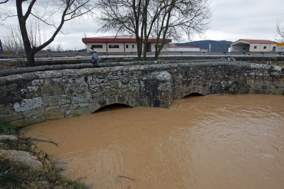 Rio Golmayo a su paso por el puente romano - Mario Tejedor_resultado