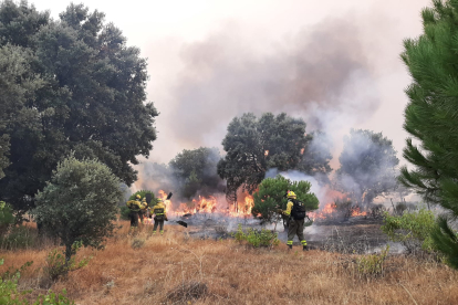 La BRIF de Lubia se bate contra las llamas en el gravísimo incendio forestal de Navalacruz, Ávila. HDS