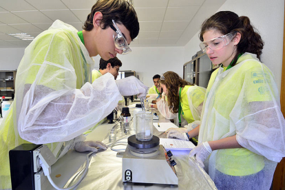 Alumnos del Campus de Profundización Científica el viernes en elIES Castilla. / REPORTAJE GRÁFICO: ÁLVARO MARTÍNEZ-