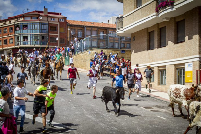 Tramo urbano y llegada de los toros - MARIO TEJEDOR (12)