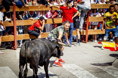 Tramo urbano y llegada de los toros - MARIO TEJEDOR (15)
