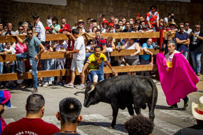 Tramo urbano y llegada de los toros - MARIO TEJEDOR (19)