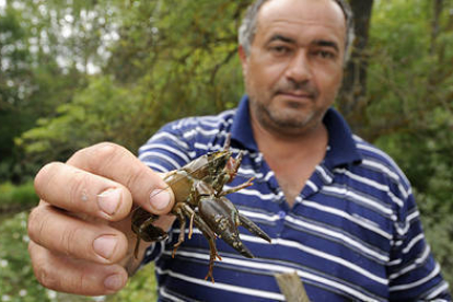 Se podrá pescar cangrejos hasta el próximo 30 de septiembre. / Valentín Guisande-