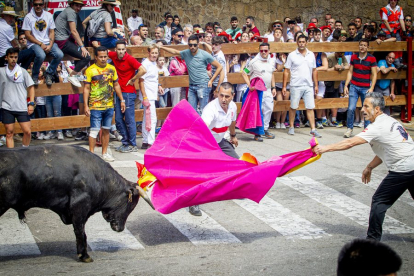 Tramo urbano y llegada de los toros - MARIO TEJEDOR (18)