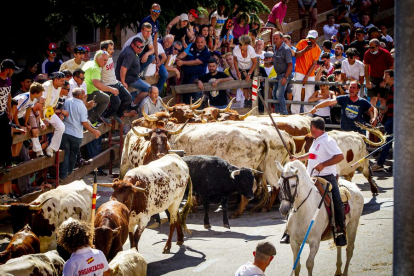Tramo urbano y llegada de los toros - MARIO TEJEDOR (32)
