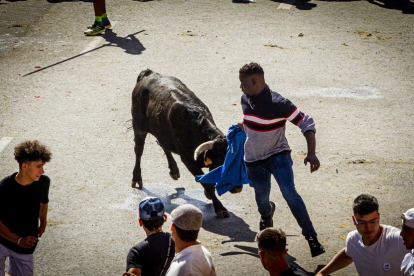 Tramo urbano y llegada de los toros - MARIO TEJEDOR (35)