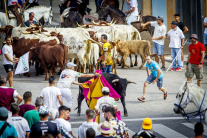 Tramo urbano y llegada de los toros - MARIO TEJEDOR (41)