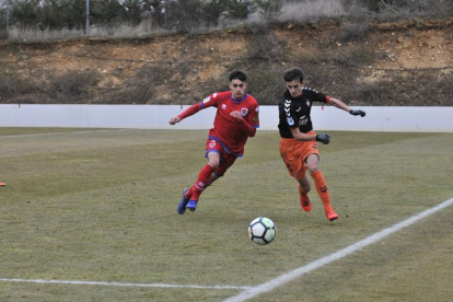 El Numancia cierra hoy la liga frente al Eibar con el título en juego.-VALENTÍN GUISANDE