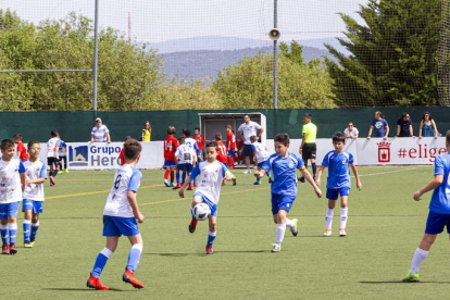 I Torneo Elige Soria de fútbol 7 Benjamín - MARIO TEJEDOR (23)