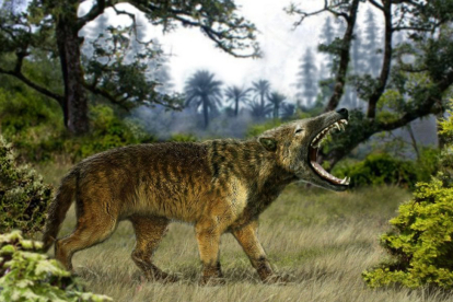 Hyaenodon.-www.mundoprehistórico.com