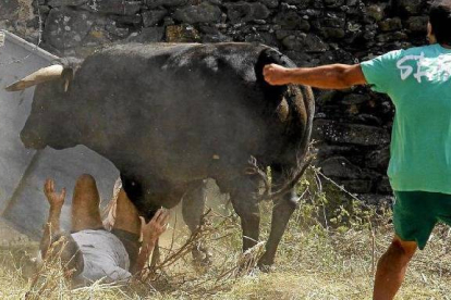 El toro de la ganadería de Andrés Celestino embiste con violencia a José Ramos tras escaparse del recorrido al romper una puerta de hierro.  / ICAL-