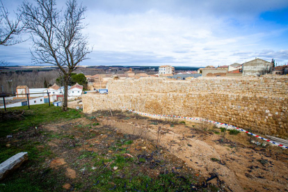 Obras de puesta en valor de la muralla de Almazán. MARIO TEJEDOR (12)