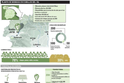La planta de biomasa de Cubillos será realidad en 2 años tras invertir 100 M€-- EL MUNDO