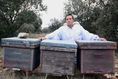 El apicultor soriano Vidal Cervero junto a algunas de sus colmenas.-A. M.