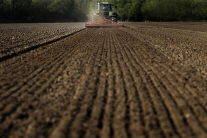 Un agricultor salmantino realiza varias labores agrarias en plena sementera, en una parcela cercana a la capital.-ENRIQUE CARRASCAL