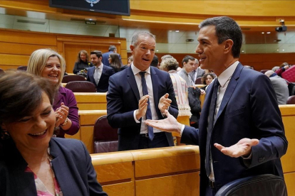 Pedro Sánchez en el Senado-JOSE LUIS ROCA