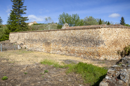 Zona de restos arqueológicos junto a los Arcos de San Juan - MARIO TEJEDOR