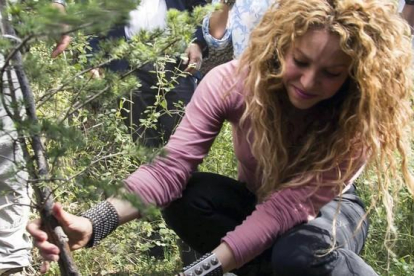 Shakira planta un árbol en la reserva de cedros de Tannurin, en Líbano. AP / ERICK DEEB-AP / ERICK DEEB