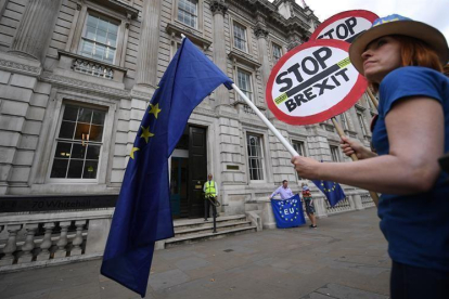 Una mujer protesta contra el 'brexit'.-EFE
