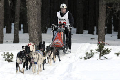 Un musher durante una prueba de trineos con perros sobre nieve celebrada en Soria. / VALENTÍN GUISANDE-