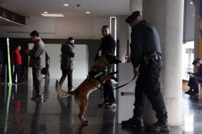 Un perro policía de la Unidad Canina de los Mossos explorando una papelera durante el Mobile World Congress-LAURA FÍGULS / ACN