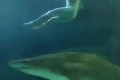 Una de las imágenes del vídeo en al que se ve al hombre desnudo mientras los tiburones del Acuario de Toronto le pasan por debajo, el pasado viernes-EL PERIÓDICO