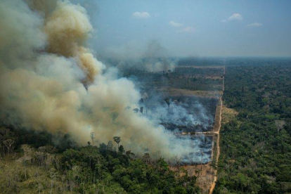 Emmanuel Macon anunció el lunes que el G7 movilizó una ayuda inmediata de 20 millones de dólares para la lucha contra el fuego en la Amazonía.-EUROPA PRESS