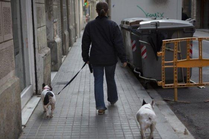 Un hombre pasea a dos perros por la calle.-