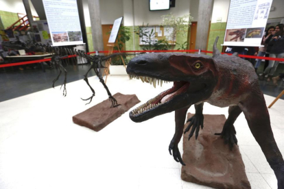 Exposición que presenta la reconstrucción de un ejemplar de Herrerasaurio Ischiqualastensis y de una réplica de su esqueleto.-ICAL