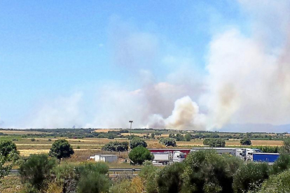 El humo del fuego declarado en Cunquilla de Vidriales era visible a kilómetros de distancia.-ICAL