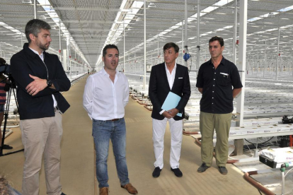 Los responsables de Bionatur, Rubén Sánchez (RRHH), Sergio Moreno (Dtor. de Operaciones), Luis Corella (consejero delegado) y Jorge Corella (arquitecto)-VALENTÍN GUISANDE