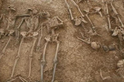 Fosa común de la guerra civil, en Málaga.-