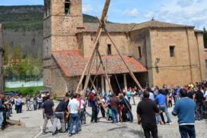 Molinos de Duero y San Leonardo de Yagüe alzaron el mayo durante la mañana de ayer consiguiendo perpetuar un año más una de las tradiciones más llamativas de la comarca de Pinares. El pino se levantó ante la atenta mirada de vecinos y visitantes que no faltaron a esta cita llena de sentimiento. Símbolo de virilidad y de fertilidad, los mayos son en cada localidad punto de encuentro, motivo de fiesta y seña de identidad entre pinariegos.