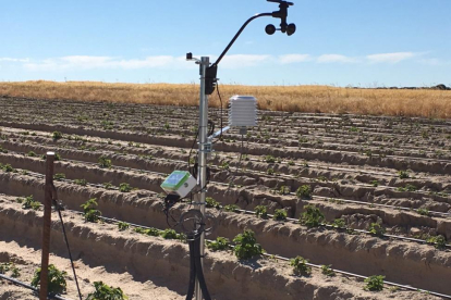 Sistema instalado en la cooperativa Cobella (Fresa, frambuesa y arándanos) en Ávila, para disponer de información de clima y riego.-E.M.