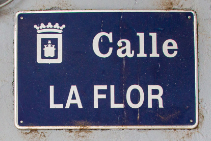 Calle La Flor.-M.T.