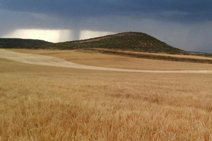La tormenta descargó con gran crudeza.-M.A.L.B.